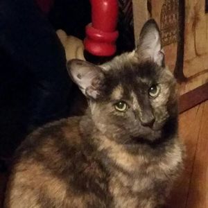 Meet your Posher, Carole lynn